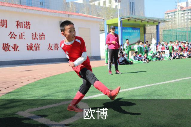 欧博公司简介